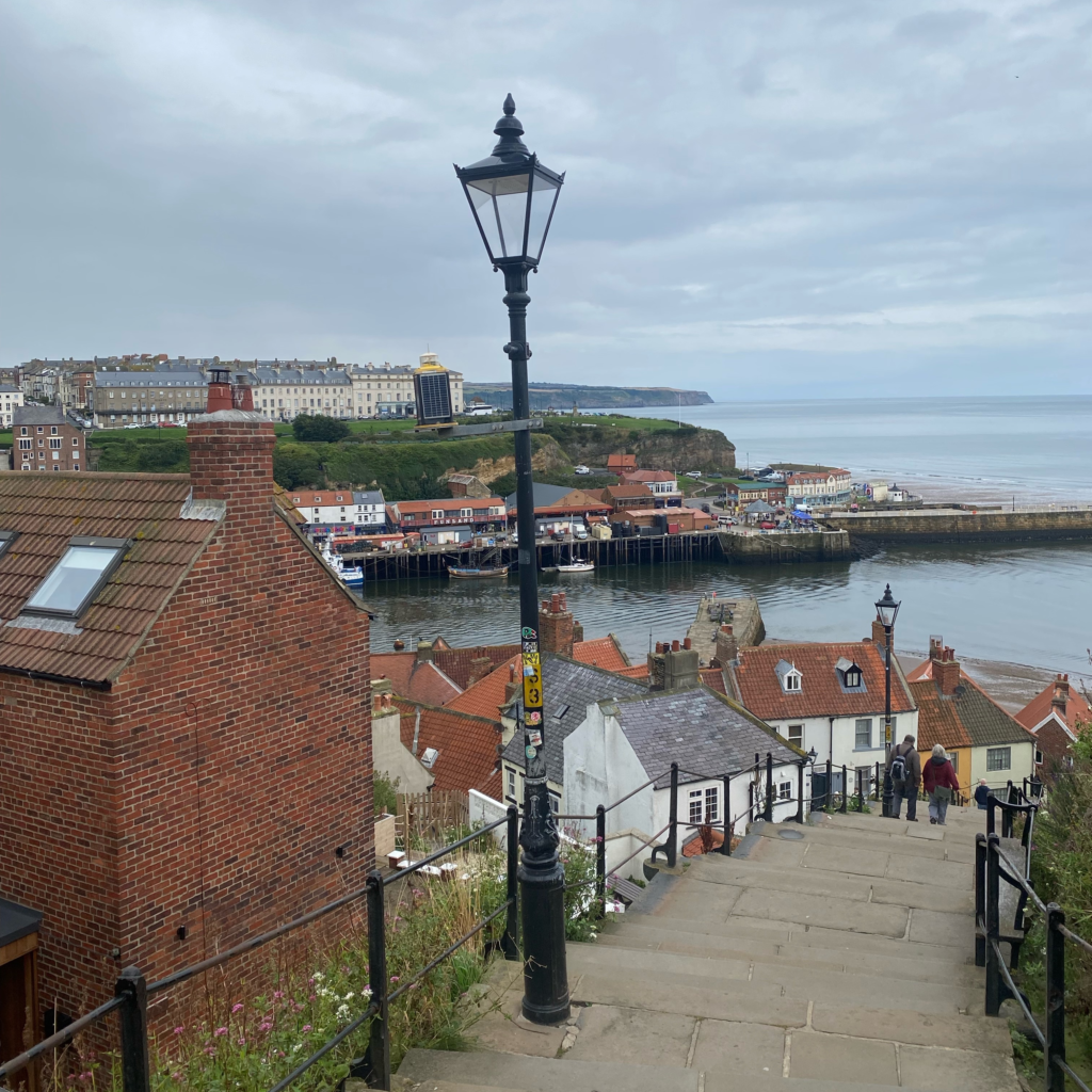 A view looking down at Whitby's rooftops from the 199 steps. The harbour can be seen in the background.
