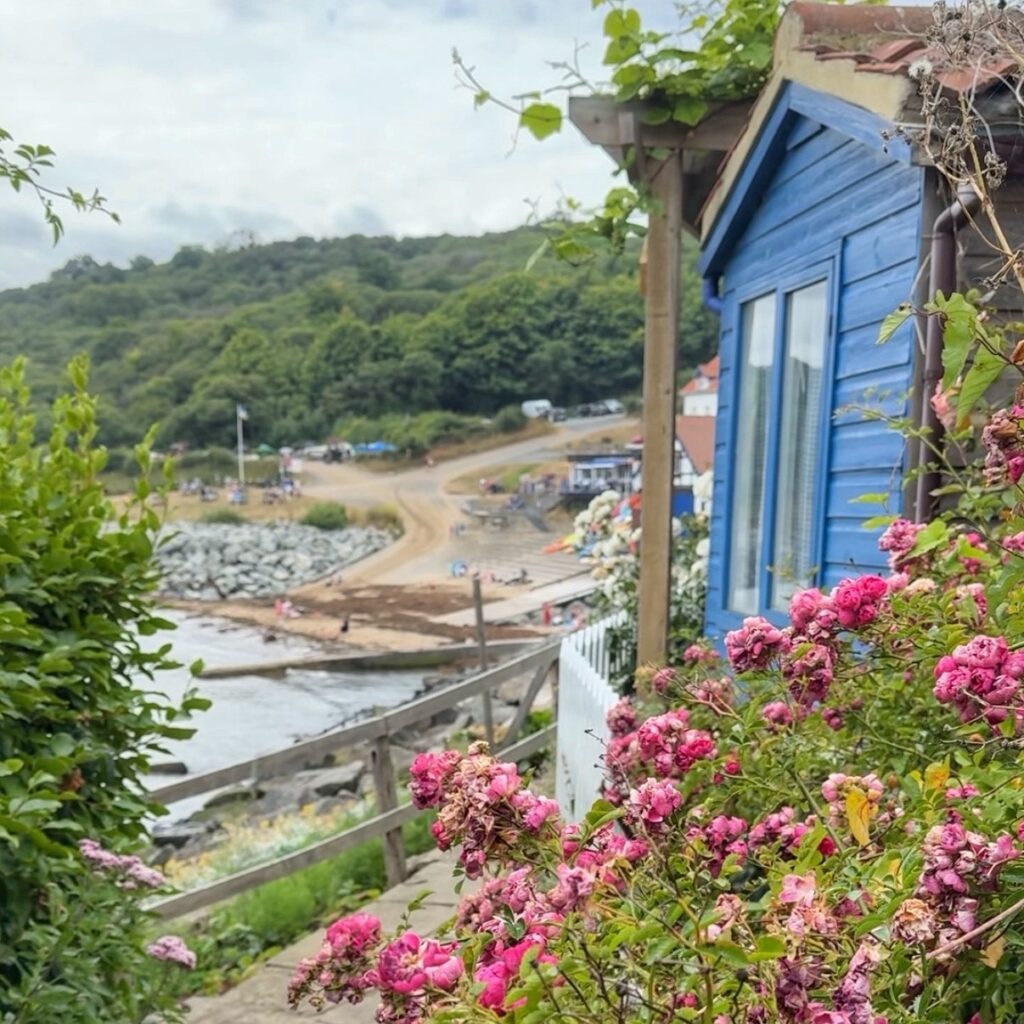 Pink flowers sway in front of a blue hut, with the sea and beach in the distance.